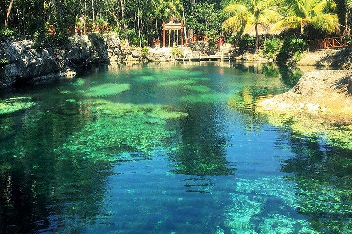 Cenotes Casa Tortuga: 5 Cenotes Day Pass