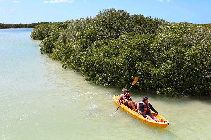 Excursion d'une journée à Isla Columpios et Progreso