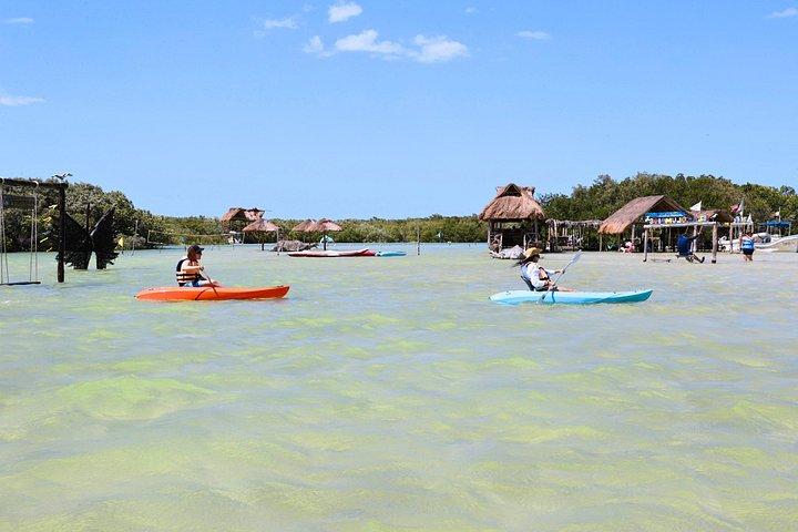 Excursion d'une journée à Isla Columpios et Progreso
