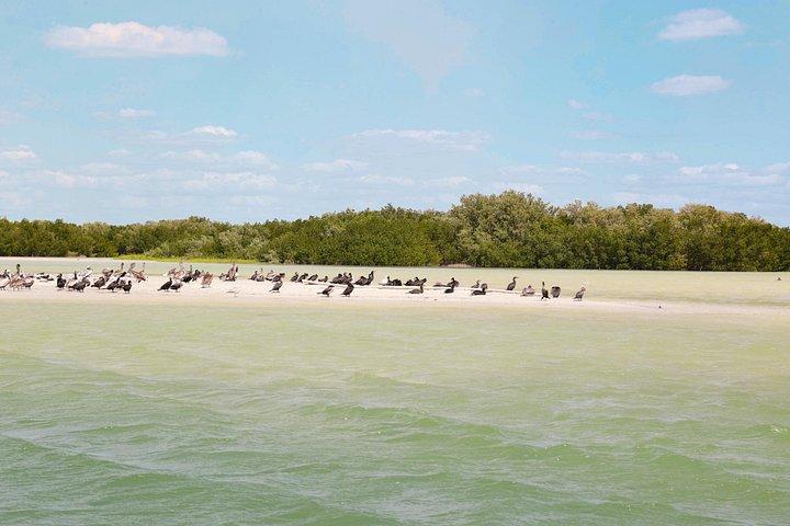 Excursion d'une journée à Isla Columpios et Progreso