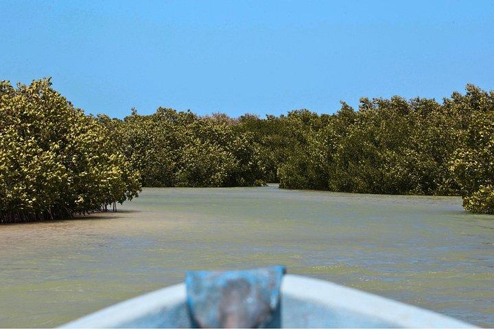Excursion d'une journée à Isla Columpios et Progreso