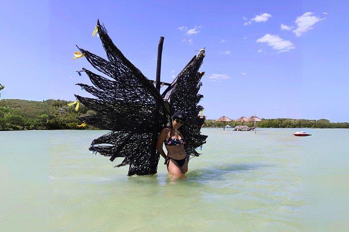 Excursion d'une journée à Isla Columpios et Progreso