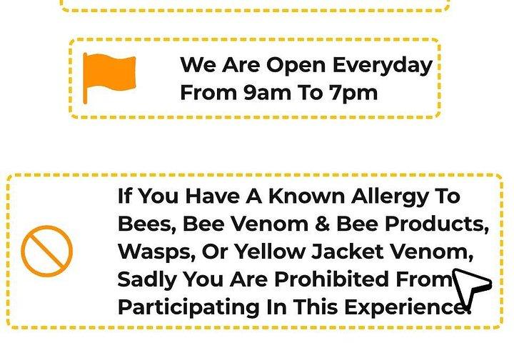 Zakynthos Bee Kingdom Experience