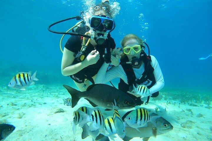 Chankanaab Park Plus Discovery Scuba Dive mit Mittagessen