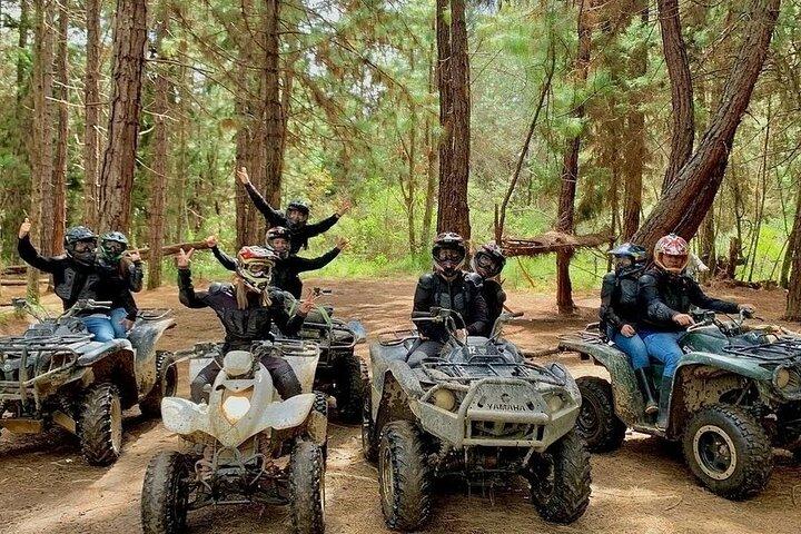 Private Experience Extreme ATV in Medellin