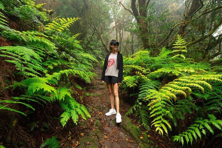 Tenerife Wonder Walk