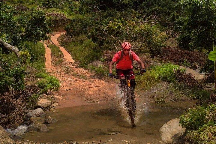 No.1 チェンマイ : Epic Doi Suthep Downhill MTB Adventure