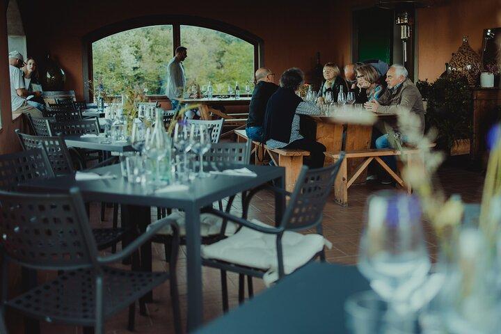 Lucca: expérience de dégustation de vin - Tenuta Adamo Winery