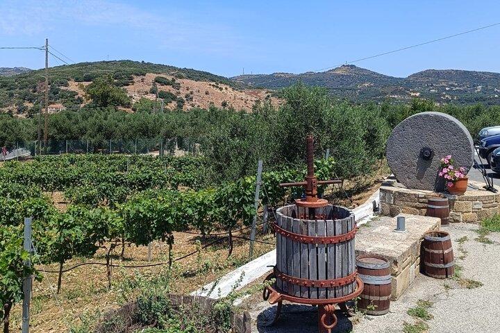 Privat tur: Hoteller i nærheden af Elafonisi Beach & Cretan Flavors