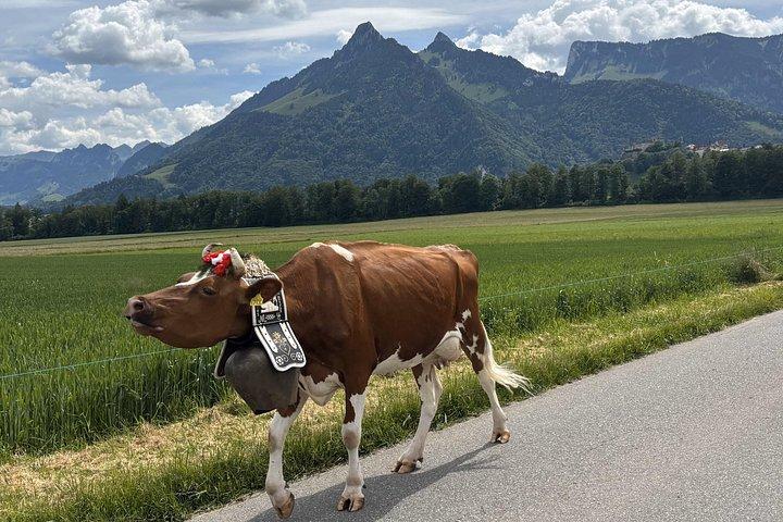 Private Swiss Cheese and Chocolate Experience with Local Host