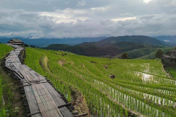 Hoteller i nærheden af Pa Pong Piang Rice Terrace og Doi Inthanon National Park