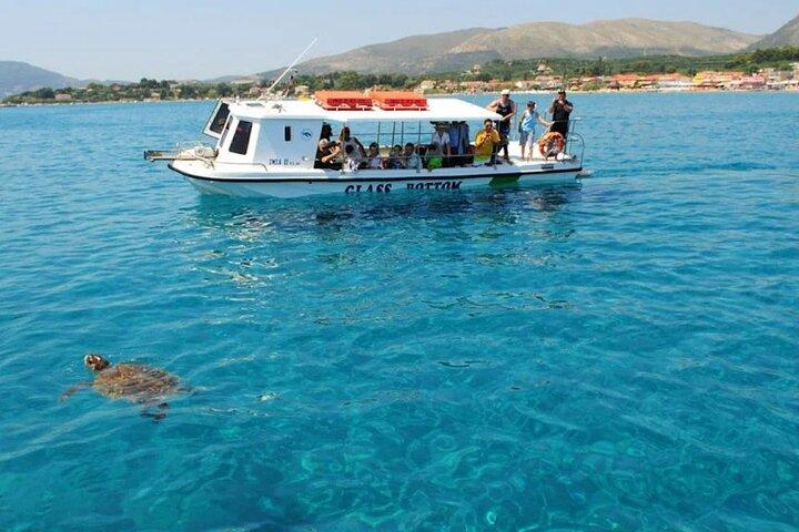 ザキントス島クルーズ：マラティシ島、ケリ洞窟、タートルスポッティング