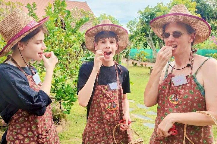 Kochabendkurs Chiang Mai Besuchen Sie den Bio-Garten und -Markt