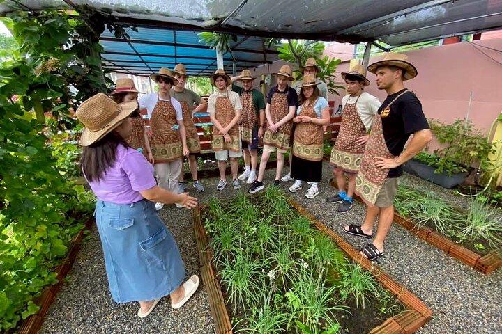 Kochabendkurs Chiang Mai Besuchen Sie den Bio-Garten und -Markt