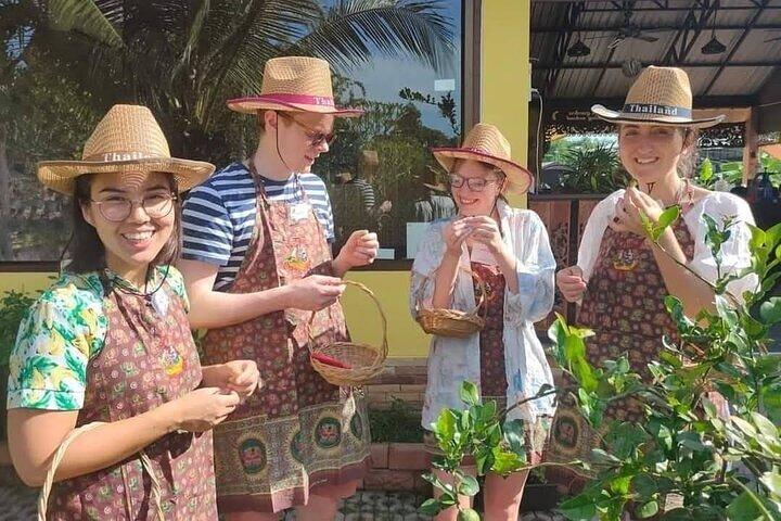 Kochkurs am Vormittag Chiang Mai Besuchen Sie den Bio-Garten und -Markt