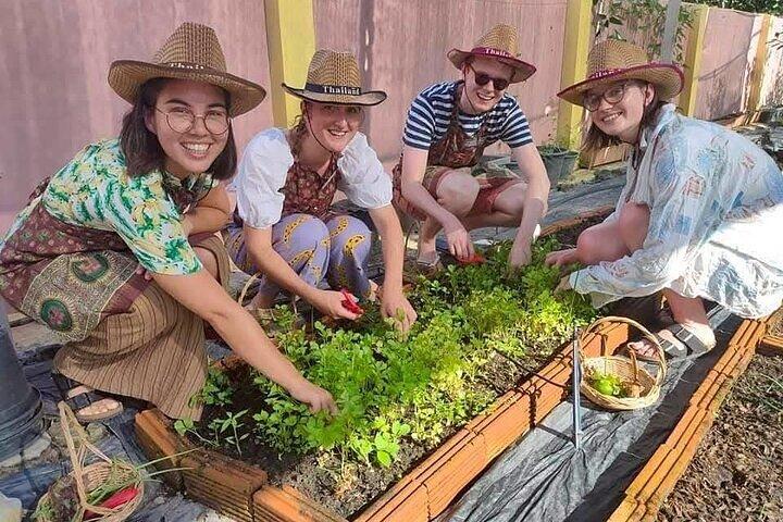 Kochkurs am Vormittag Chiang Mai Besuchen Sie den Bio-Garten und -Markt