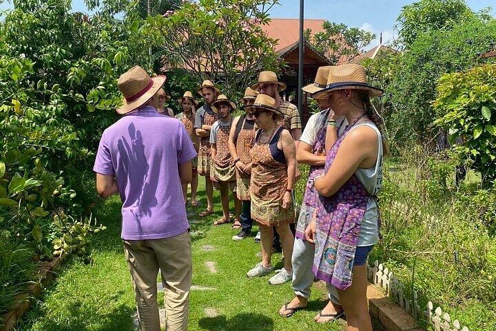 Kochkurs am Vormittag Chiang Mai Besuchen Sie den Bio-Garten und -Markt