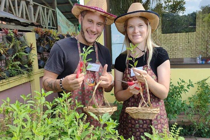 Kochkurs am Vormittag Chiang Mai Besuchen Sie den Bio-Garten und -Markt