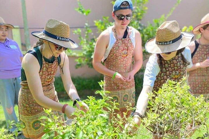 Kochkurs am Vormittag Chiang Mai Besuchen Sie den Bio-Garten und -Markt