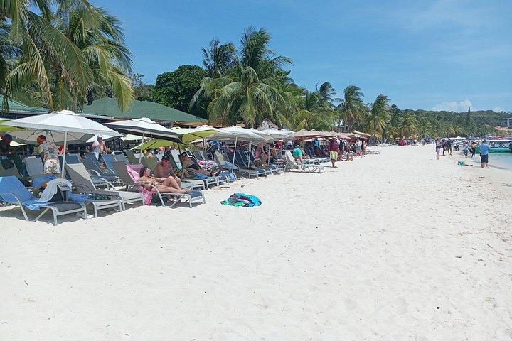 Roatan private Monkey Sloth park chocolate Rum & West Bay Beach