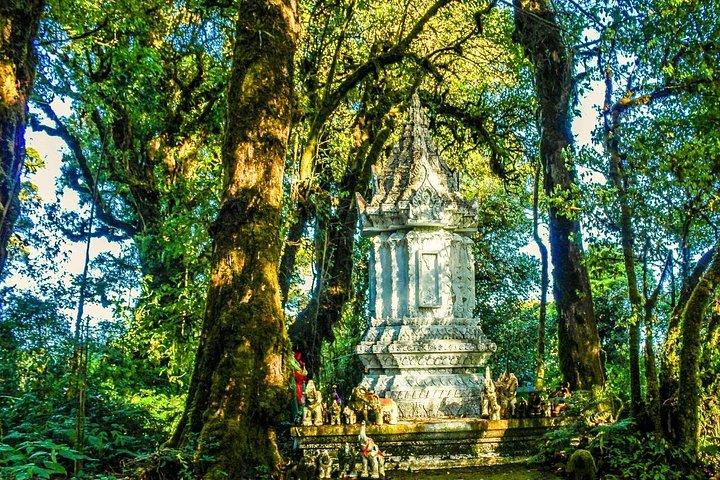 チェンマイ: ドイ・インタノン、滝、丘の部族村