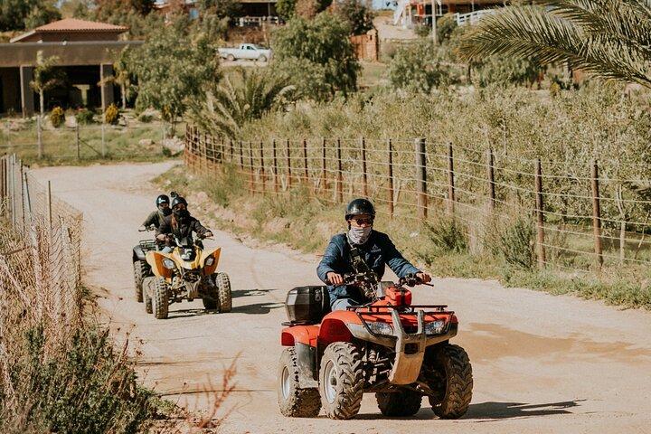 Off Road Tour Experience plus Weingutbesuch in Baja