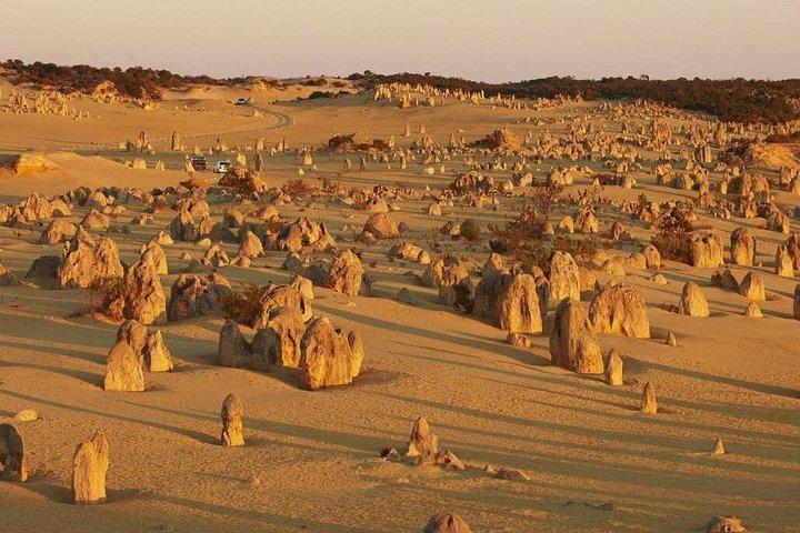 6 Hours Pinnacles Express Tour