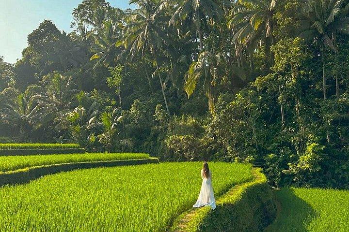 Private Customize Ubud Tagestour mit erfahrenem Fahrer