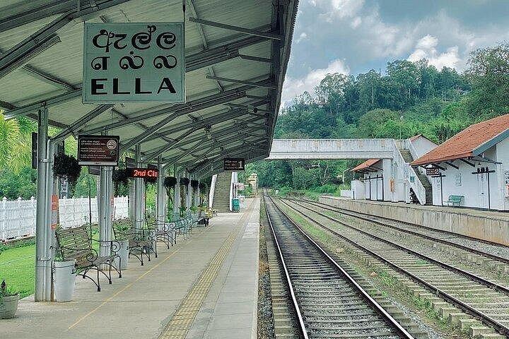 スリランカ8日間ツアー｜シギリヤ・ヤーラ・エラ・ミリッサ・キャンディ