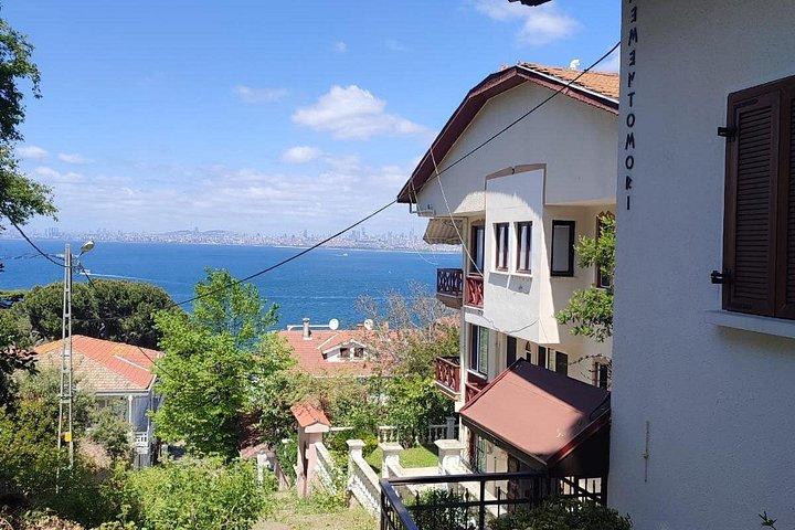 イスタンブール旧市街からのプリンセス諸島ブルーの旅