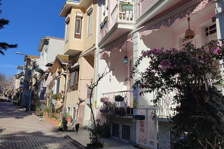 イスタンブール旧市街からのプリンセス諸島ブルーの旅
