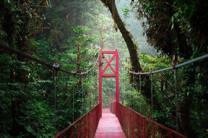 Monteverde Cloud Forest guidad tur