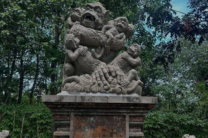 Ubud Tour Privado com 3 Cataratas, Tegalalang e Monkey River