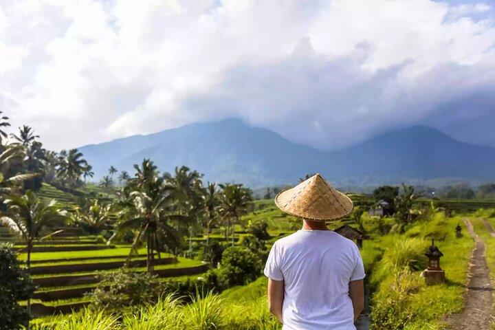 Hidden Bali Gems Sekumpul, hellige templer og Jatiluwih