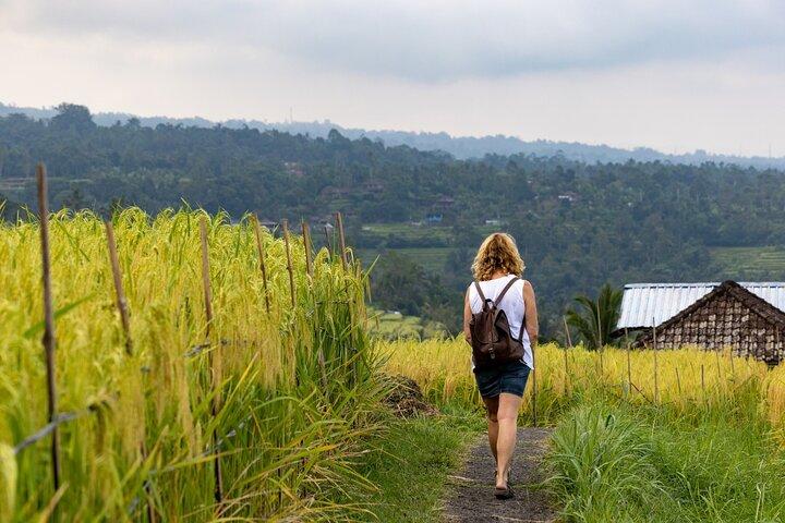 Hidden Bali Gems Sekumpul, hellige templer og Jatiluwih