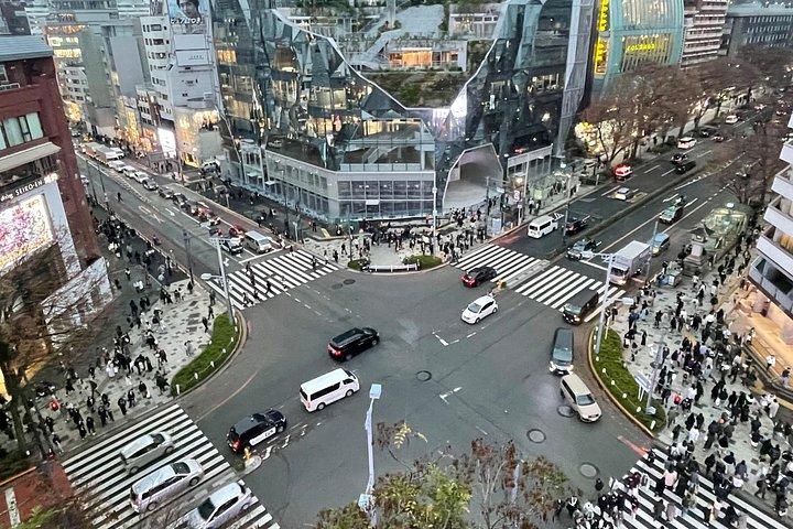 明治神宮+原宿カワイイ/ファッション+ランチ+渋谷交差点