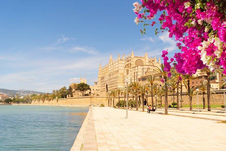 Oplev Mallorca: Selvguidet ørejse