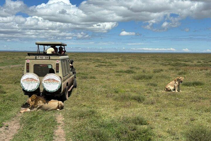 6 días Safari familiar en Tanzania