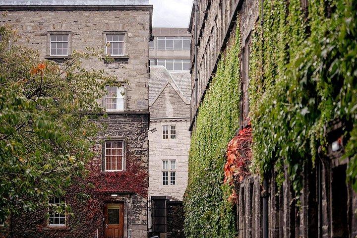 7 - Visite privée d'une journée de Dublin, Cork et Limerick