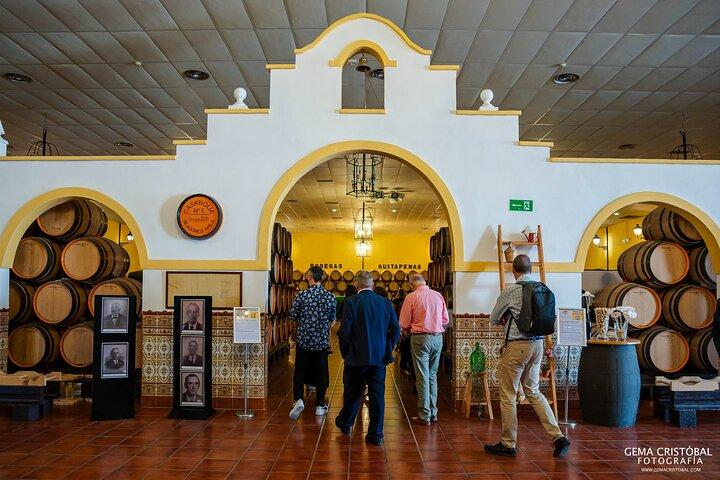 Visita alla cantina più antica di Malaga e degustazione di vini