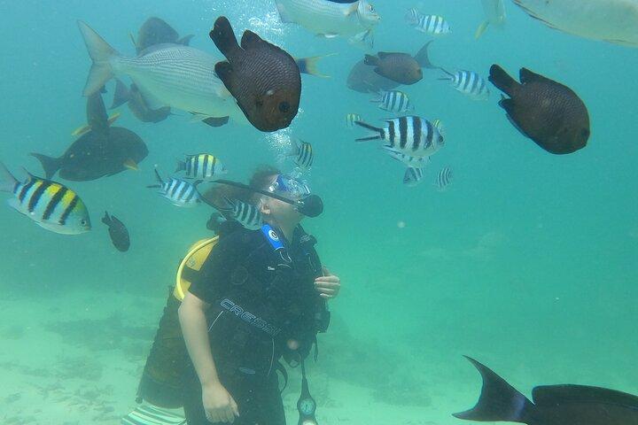 Scopri le immersioni subacquee a Mombasa