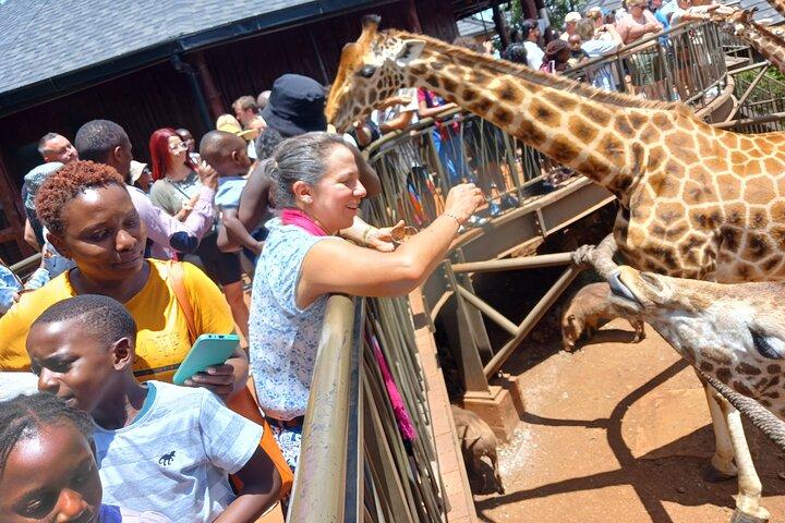Visite classique de Nairobi City Tour Safari-Free WI FI