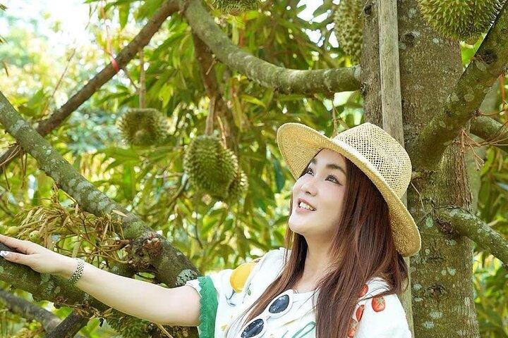 Volledige dag in Pattaya Rayong met Durian Buffet op Suphattra Farm