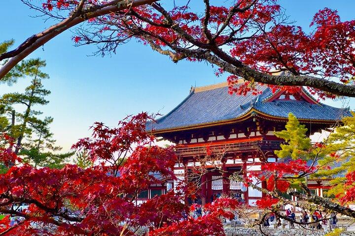 Osaka & Nara in 1-Day by Private Van with Local Expert Guide