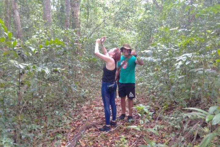 Tour a Tikal todo Incluido desde Flores o Aeropuerto Mundo Maya