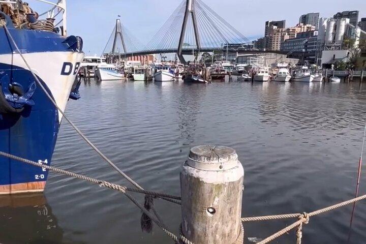 Taste of Sydney Tour (mini pullman)
