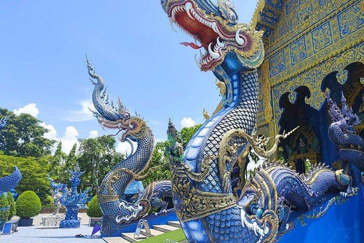 チェンマイ発チェンライ日帰りツアー： White Temple & More w/ Lunch