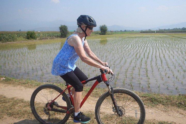 メーピン川沿いチェンマイ田んぼ自転車ツアー