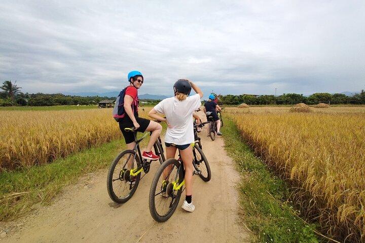 メーピン川沿いチェンマイ田んぼ自転車ツアー