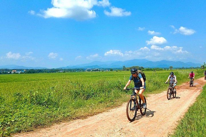 メーピン川沿いチェンマイ田んぼ自転車ツアー